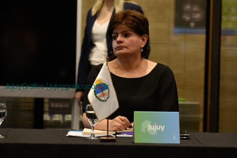 María Inés Zigarán Aportes de Jujuy en el debate sobre la estrategia nacional para el Uso de los Mercados de Carbono María Inés Zigarán Aportes de Jujuy en el debate sobre la estrategia nacional para el Uso de los Mercados de Carbono
Jujuy en llamas: División política y rechazo ciudadano definen elecciones